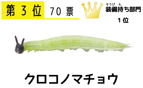 クロコノマチョウ