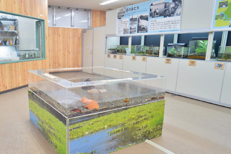 生物園内の足立の生きもの観察室の画像