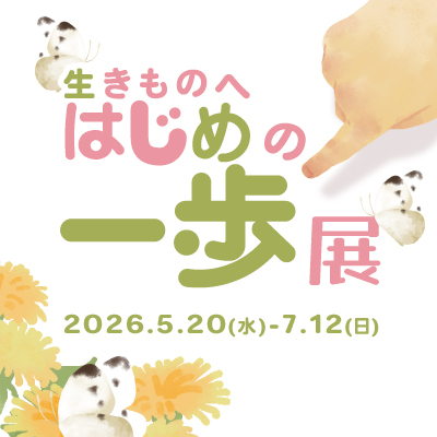 １F展示の画像
