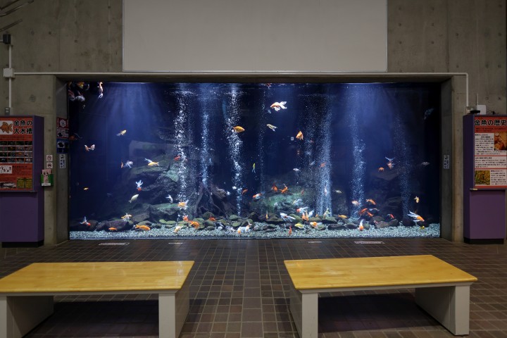 生物園内出会いの広場の写真
