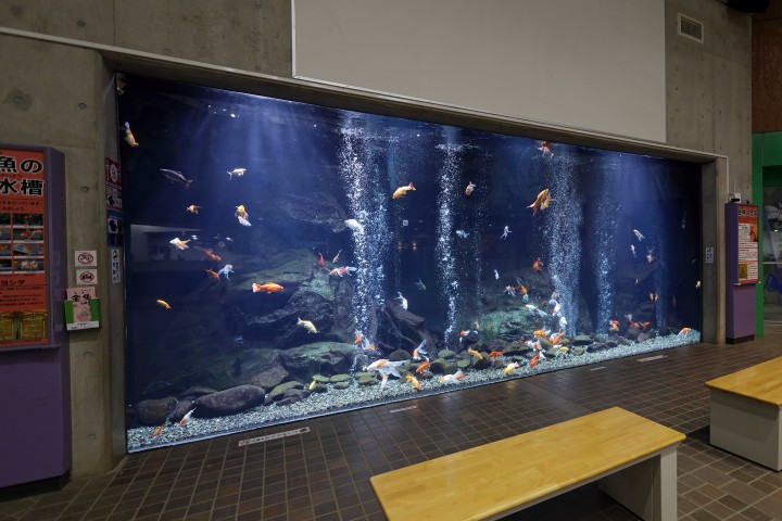 生物園内出会いの広場の写真
