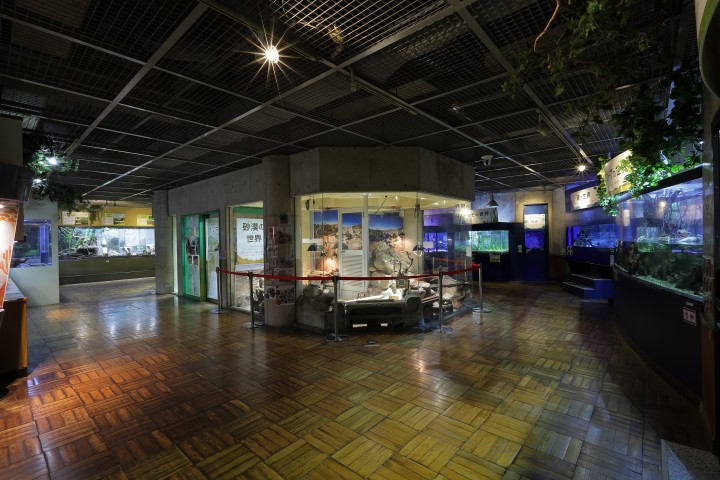 生物園内観察展示室の写真