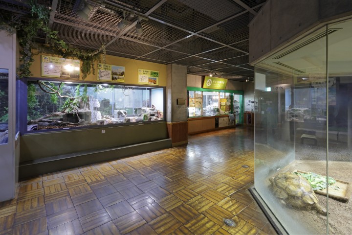 生物園内観察展示室の写真