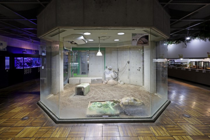 生物園内観察展示室の写真