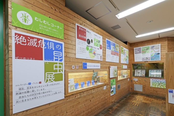 生物園内むしむしコーナーの写真
