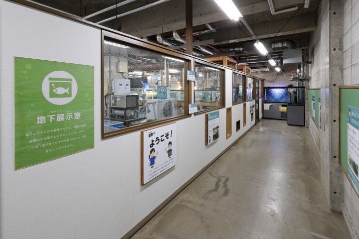 生物園内地下展示室の写真