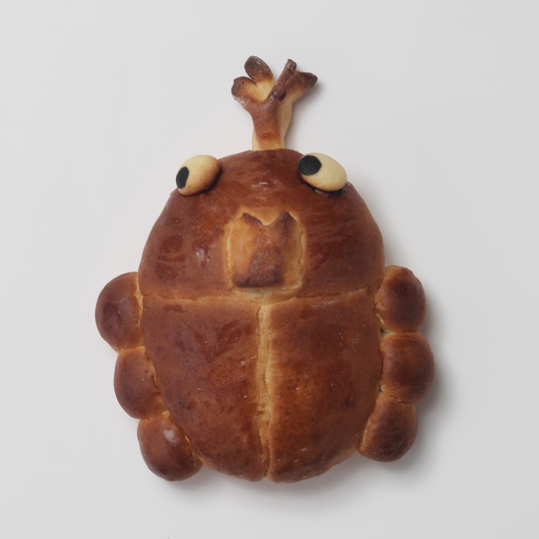 カブトムシの生きものパンの画像