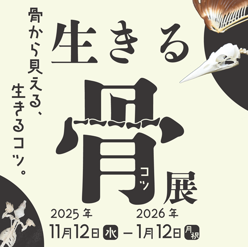 企画展生きる骨展の画像
